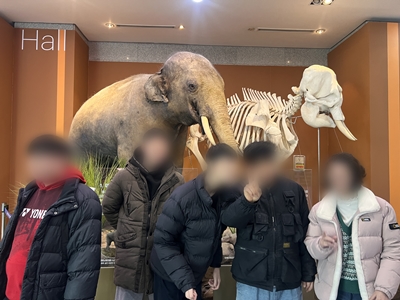 2월 마루반 활동사진